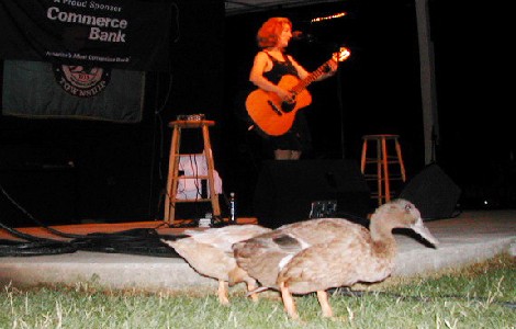 Don't quack up...Call PVA today! 